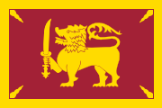 maroon, yellow outline, yellow lion, four yellow leaves