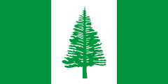 green-white-green, green Norfolk pine