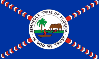 1966 Seminole flag