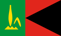 red, black triangle, thick green band, yellow plant